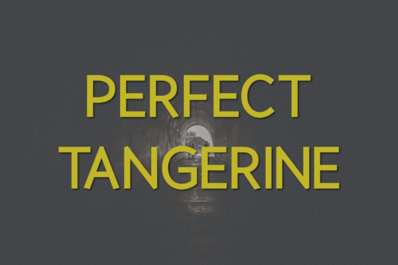 Perfect Tangerine: The Modern Sans Serif Font for Polished Branding